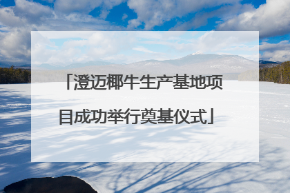 澄迈椰牛生产基地项目成功举行奠基仪式