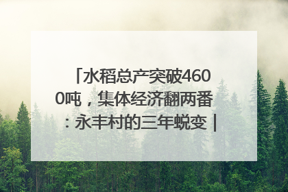 水稻总产突破4600吨，集体经济翻两番：永丰村的三年蜕变｜您牵挂的四川