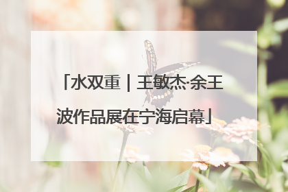 水双重｜王敏杰·余王波作品展在宁海启幕