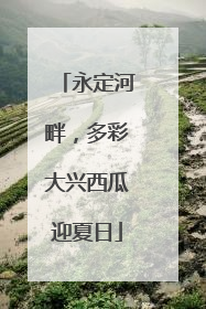 永定河畔，多彩大兴西瓜迎夏日