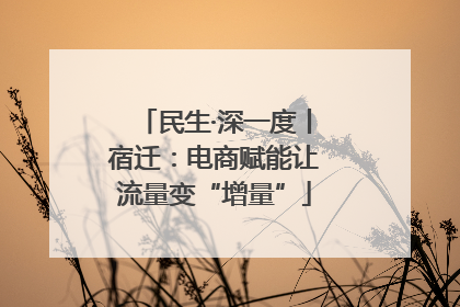 民生·深一度丨宿迁：电商赋能让流量变“增量”