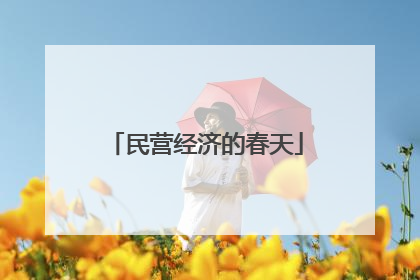 民营经济的春天