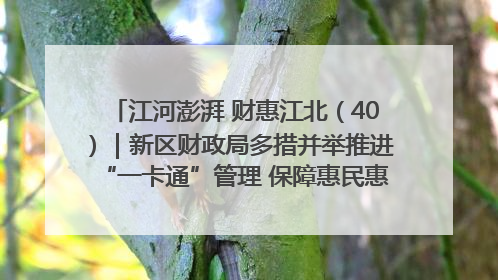 江河澎湃 财惠江北（40）｜新区财政局多措并举推进“一卡通”管理 保障惠民惠农补贴精准高效发放