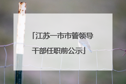 江苏一市市管领导干部任职前公示