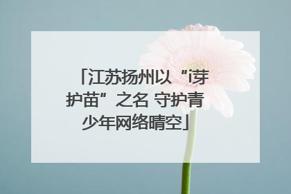 江苏扬州以“i芽护苗”之名 守护青少年网络晴空