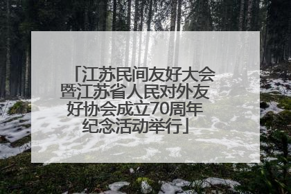江苏民间友好大会暨江苏省人民对外友好协会成立70周年纪念活动举行