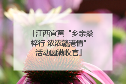 江西宜黄“乡亲桑梓行 浓浓赣港情”活动圆满收官