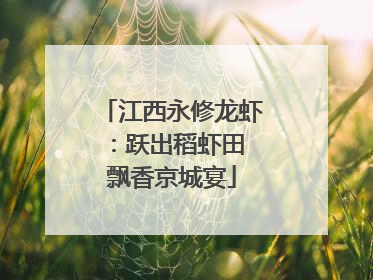 江西永修龙虾：跃出稻虾田 飘香京城宴