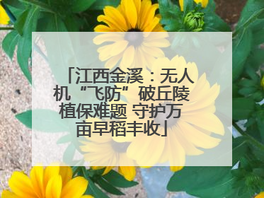 江西金溪：无人机“飞防”破丘陵植保难题 守护万亩早稻丰收