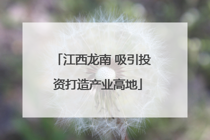 江西龙南 吸引投资打造产业高地