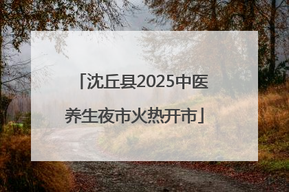 沈丘县2025中医养生夜市火热开市