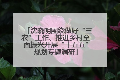 沈晓明围绕做好“三农”工作、推进乡村全面振兴开展“十五五”规划专题调研