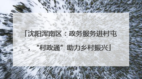 沈阳浑南区：政务服务进村屯，“村政通”助力乡村振兴