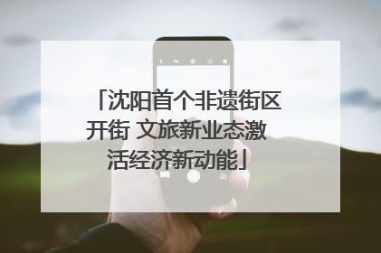 沈阳首个非遗街区开街 文旅新业态激活经济新动能