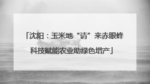 沈阳：玉米地“请”来赤眼蜂 科技赋能农业助绿色增产
