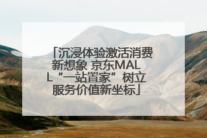 沉浸体验激活消费新想象 京东MALL“一站置家”树立服务价值新坐标