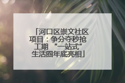 河口区崇文社区项目：争分夺秒抢工期 “一站式”生活圈年底亮相