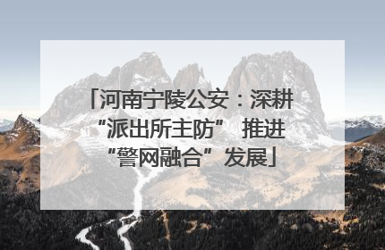 河南宁陵公安：深耕“派出所主防” 推进“警网融合”发展