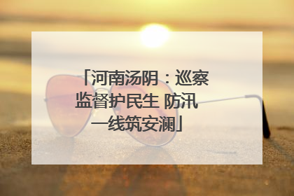 河南汤阴：巡察监督护民生 防汛一线筑安澜