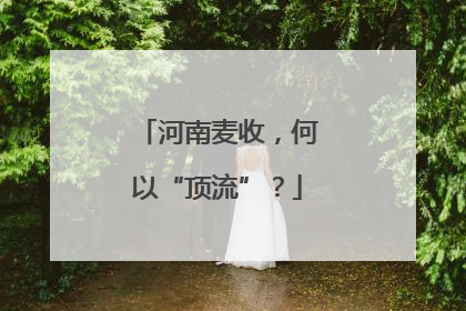 河南麦收，何以“顶流”？