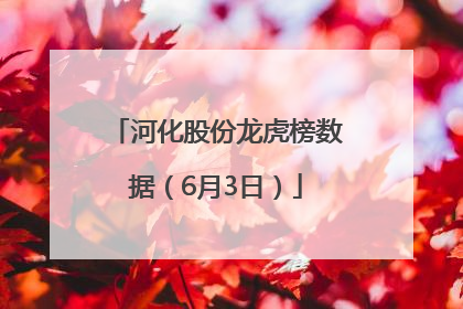 河化股份龙虎榜数据（6月3日）