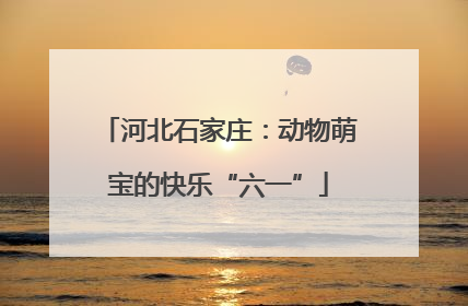 河北石家庄：动物萌宝的快乐“六一”