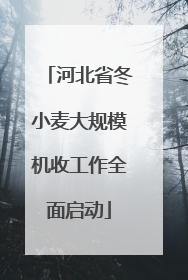 河北省冬小麦大规模机收工作全面启动