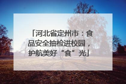 河北省定州市：食品安全抽检进校园，护航美好“食”光