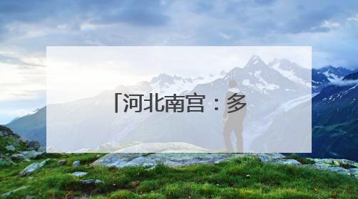 河北南宫：多举措为“三夏”生产保驾护航