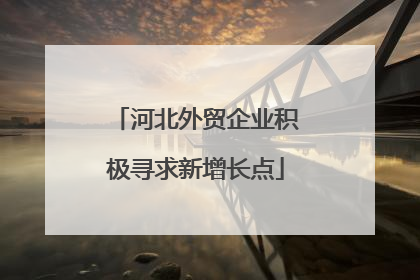河北外贸企业积极寻求新增长点