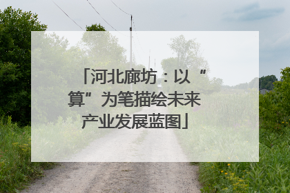 河北廊坊：以“算”为笔描绘未来产业发展蓝图