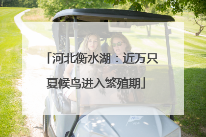 河北衡水湖：近万只夏候鸟进入繁殖期