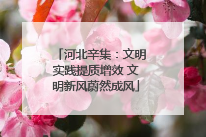 河北辛集：文明实践提质增效 文明新风蔚然成风