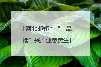 河北邯郸：“一品一播”兴产业惠民生