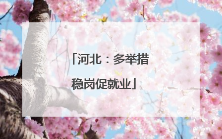 河北：多举措稳岗促就业
