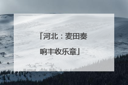 河北：麦田奏响丰收乐章