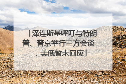泽连斯基呼吁与特朗普、普京举行三方会谈，美俄暂未回应