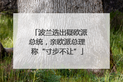 波兰选出疑欧派总统，亲欧派总理称“寸步不让”