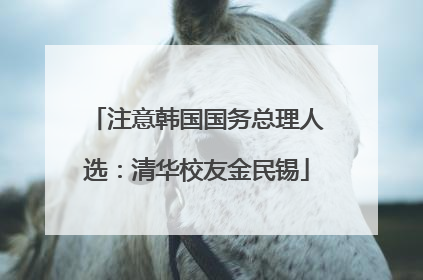 注意韩国国务总理人选：清华校友金民锡