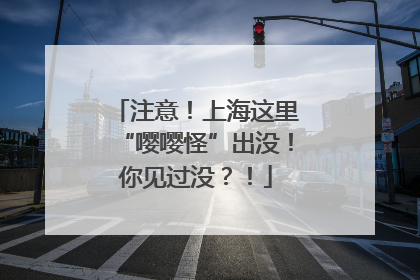 注意！上海这里“嘤嘤怪”出没！你见过没？！