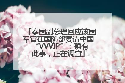 泰国副总理回应该国军官在国防部宴请中国“VVVIP”：确有此事，正在调查
