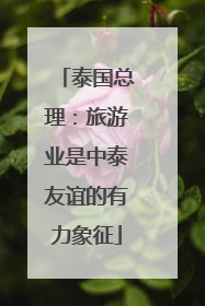 泰国总理：旅游业是中泰友谊的有力象征