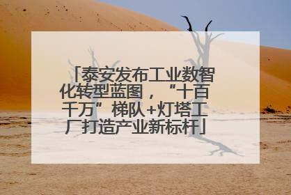 泰安发布工业数智化转型蓝图，“十百千万”梯队+灯塔工厂打造产业新标杆