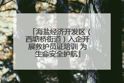 海盐经济开发区（西塘桥街道）入企开展救护员证培训 为生命安全护航