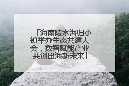 海南陵水海归小镇举办生态共建大会，数智赋能产业共创出海新未来