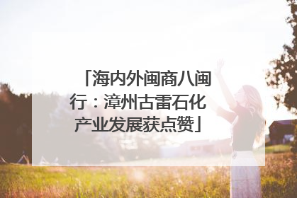 海内外闽商八闽行：漳州古雷石化产业发展获点赞