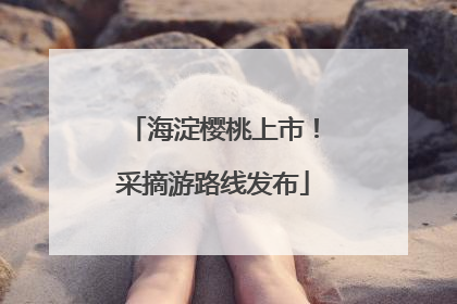 海淀樱桃上市！采摘游路线发布