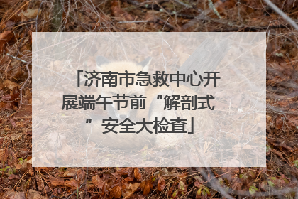 济南市急救中心开展端午节前“解剖式”安全大检查