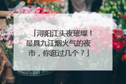 浔阳江头夜璀璨！最具九江烟火气的夜市，你逛过几个？