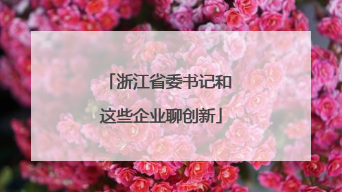 浙江省委书记和这些企业聊创新